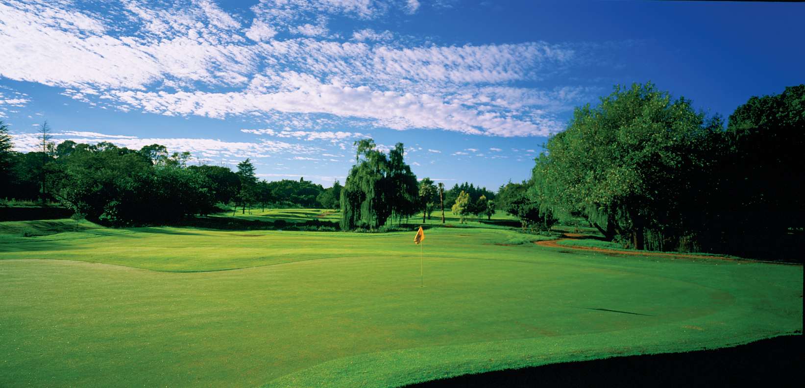 Zwartkop Country Club – South Africa – Printed Golf Course golf course